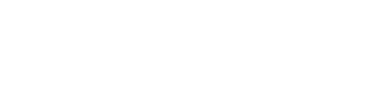 Aerials Elevated, PT for Aerialists