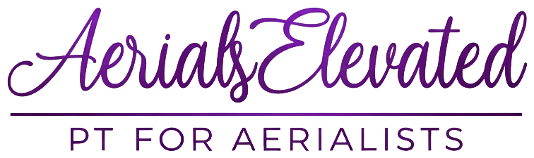 Aerials Elevated, PT for Aerialists